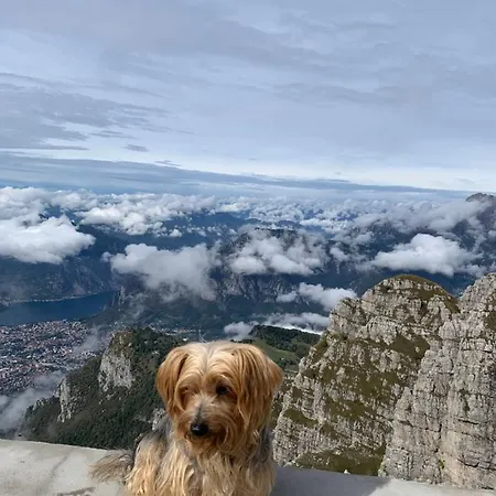 Il Porticciolo * Bellano