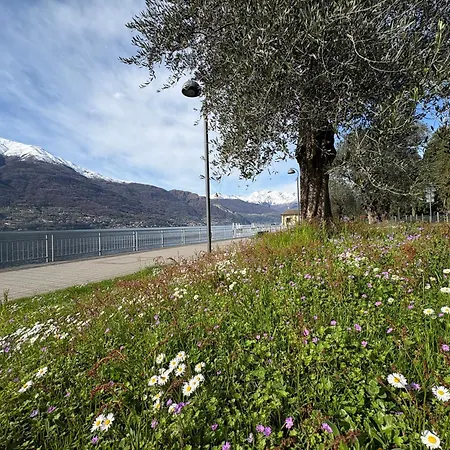 Appartement Il Porticciolo Bellano