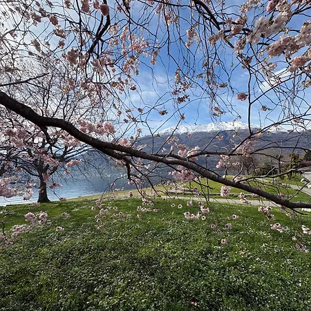 Il Porticciolo Appartement Bellano