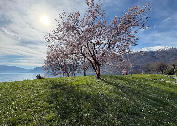 Il Porticciolo Appartement *