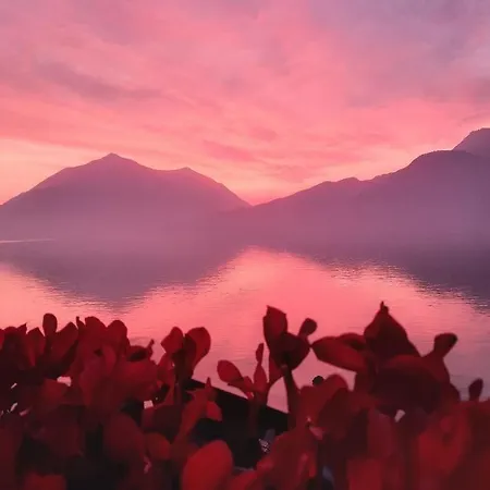 Lejlighed Il Porticciolo