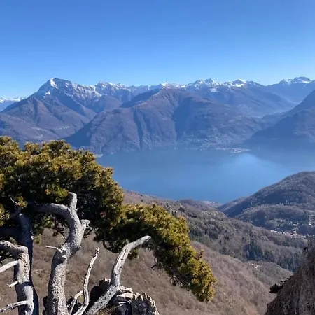 Lejlighed Il Porticciolo *