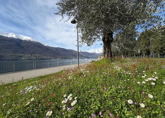 Apartment Il Porticciolo Bellano