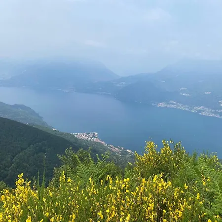 Il Porticciolo
