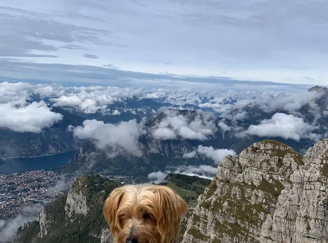 Il Porticciolo * بيلانو